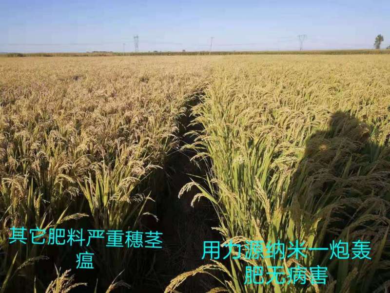 &#38886;&#24503;&#32593;&#31449;&#45;&#40;&#20013;&#22269;&#41;&#26377;&#38480;&#36131;&#20219;&#38886;&#24503;&#32593;&#31449;